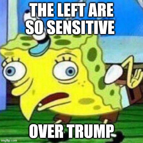 They're like "ThE lEfT aRe So TrIgGeReD bY tRuMp." LIKE BRO, HE'S LITERALLY A PEDO AND A RAPIST WHY WOULDN'T BE GET UPSET AT HIM BEING SO SUPPORTED