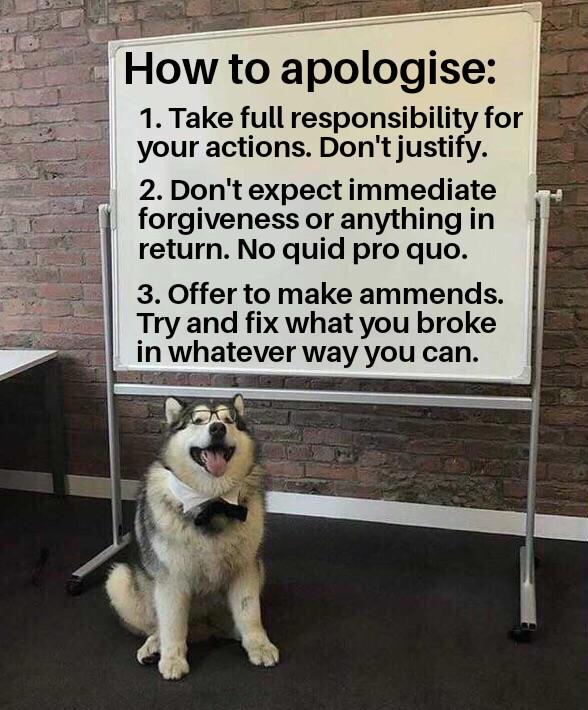 A good apology