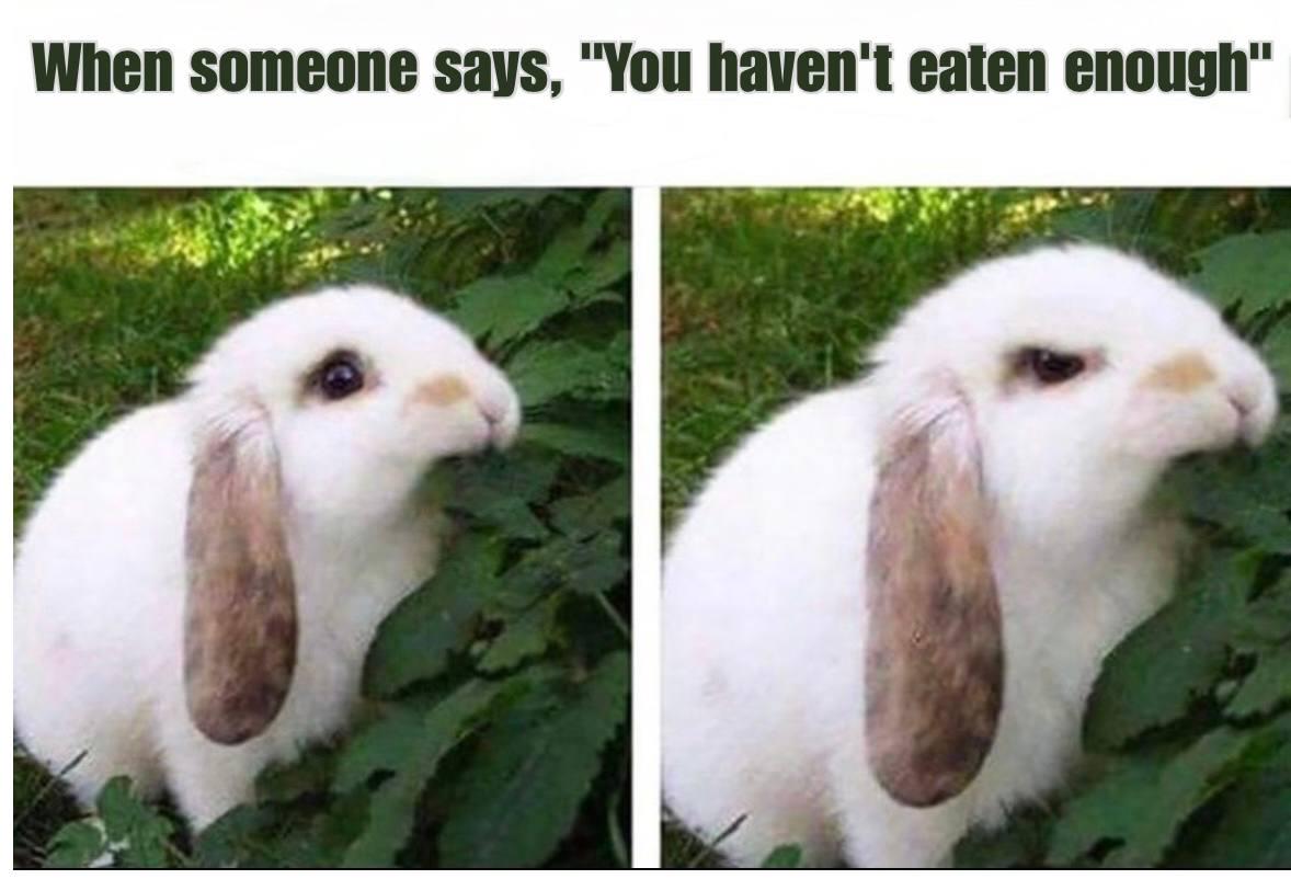 When you just have a naturally thin face, but everyone thinks you're starving