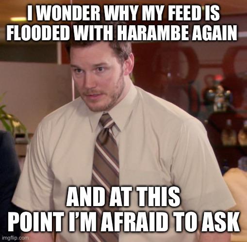 I mean, what algorithm did I plug into?