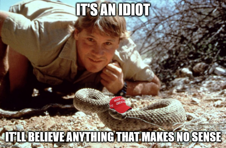 Crikey! That's a big one! What a beauty!