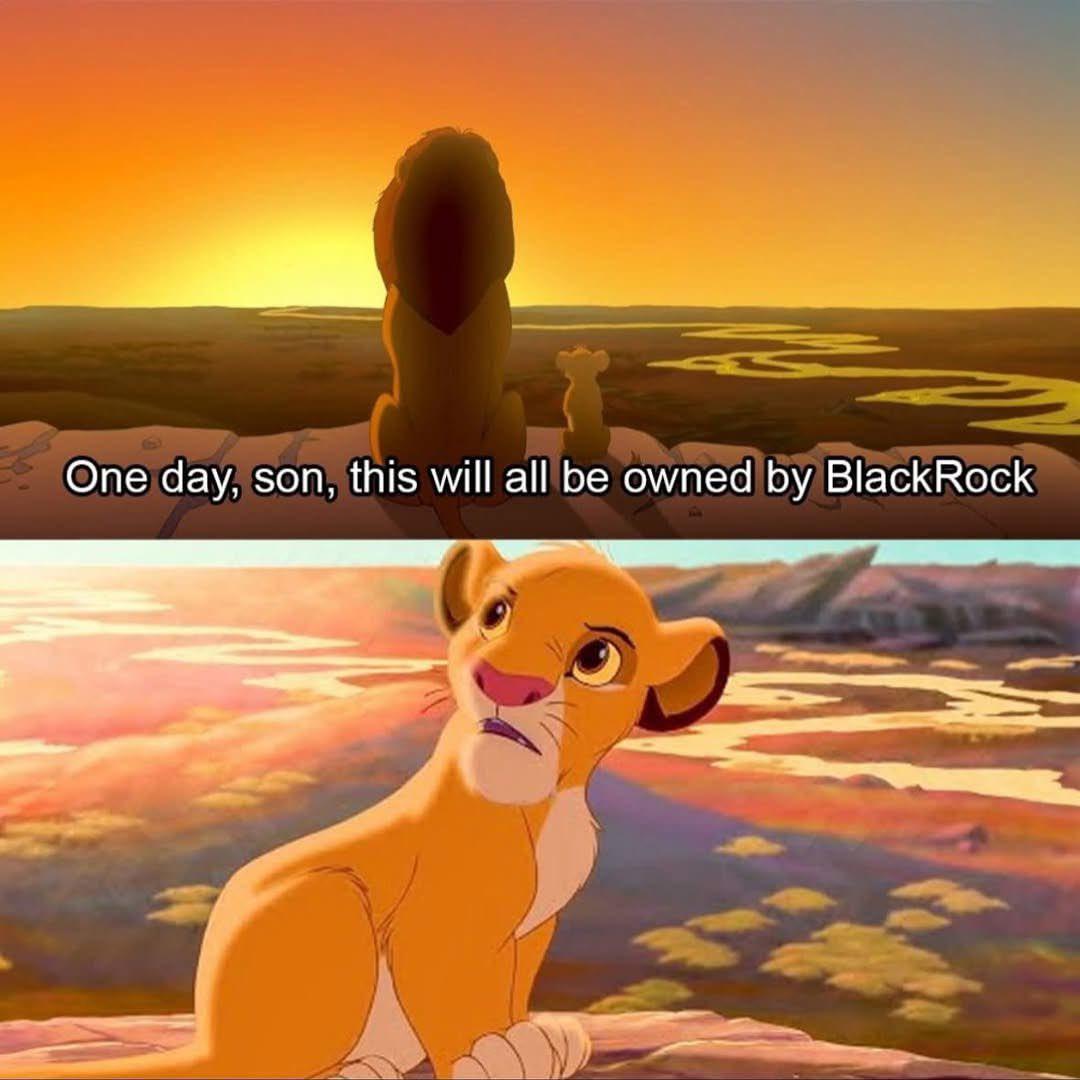 Simba, welcome to the Asset Management Kingdom