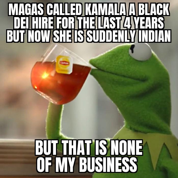 Not once did I ever hear repubs call her an 'Indian', not a single time.