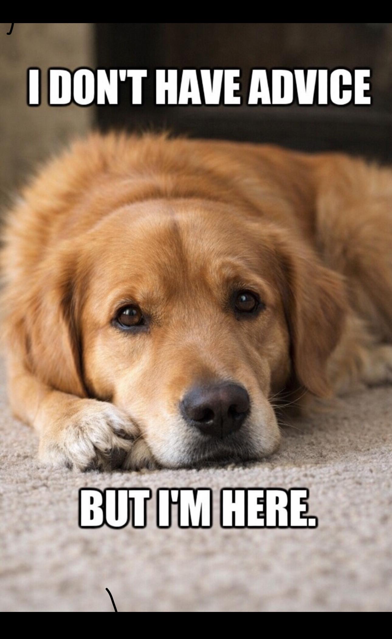 Honesty this is enough.