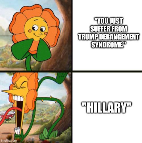 This was made by a liberal snowflake with TDS unable to control their emotions.