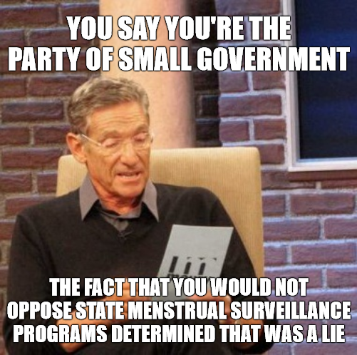 Government "small" enough to fit in your crotch