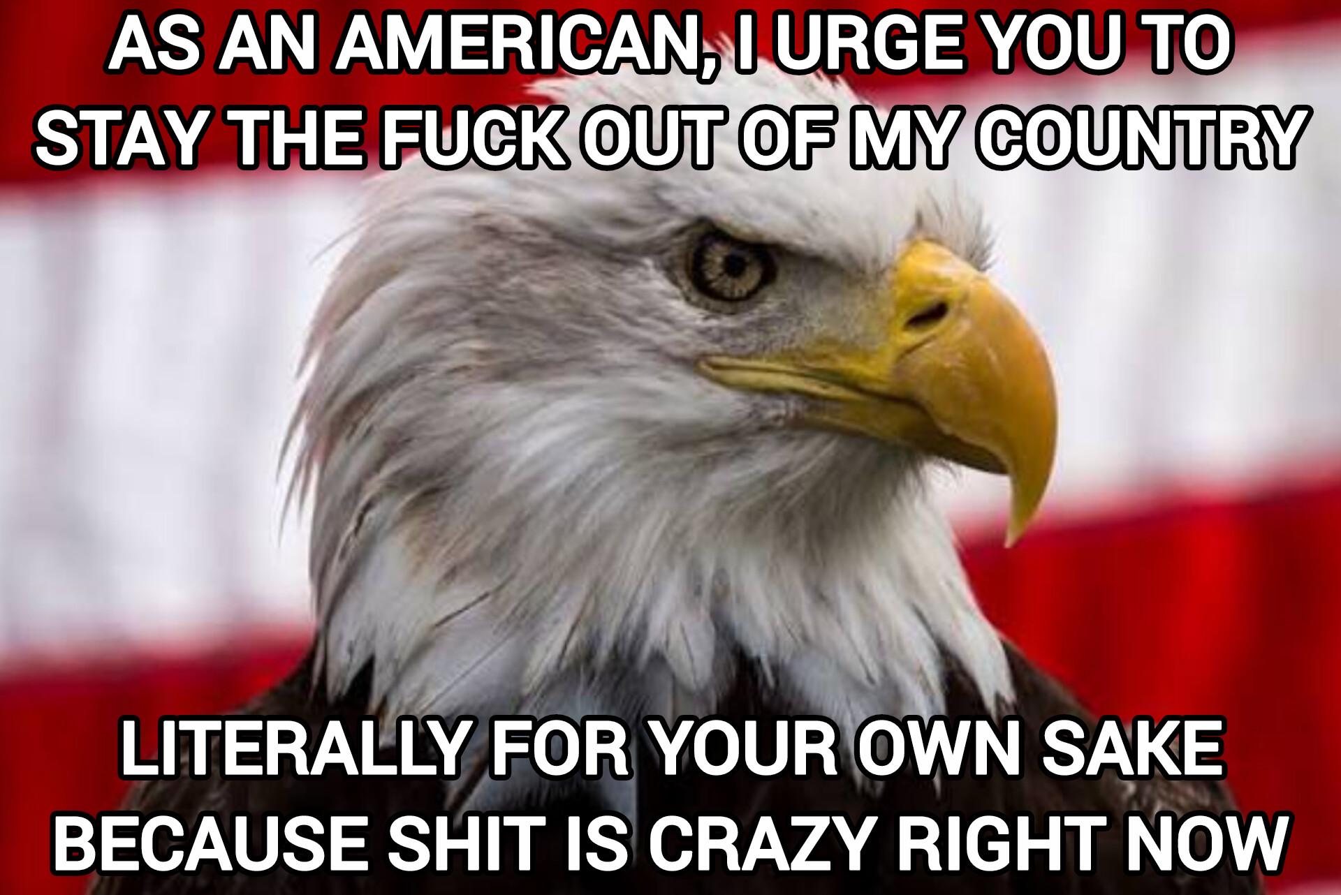 Idgaf about tourism, the people in power are cruel and insane