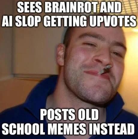 Do you guys like those Ai memes?