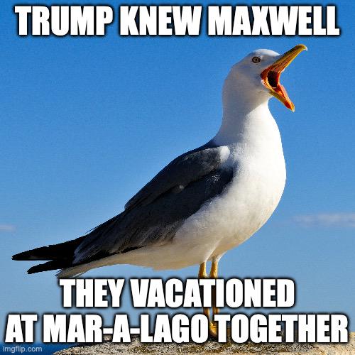 Trump vacationed with Ghislaine Maxwell, accompanied by young victims