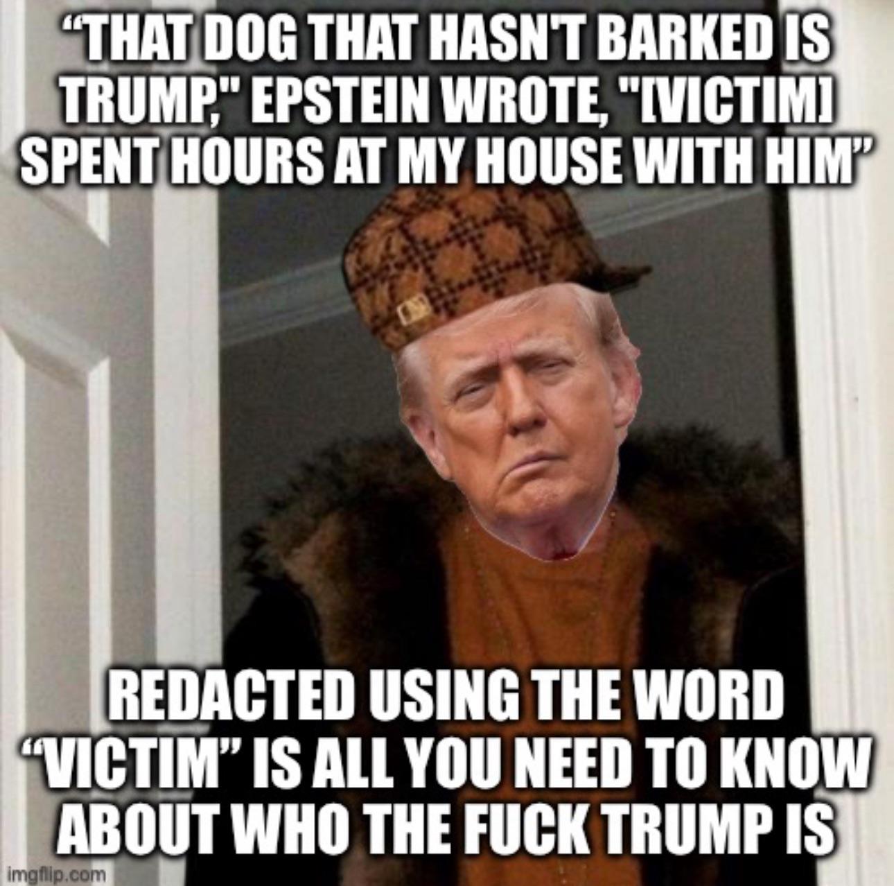 PERPE-TRAITOR SCUMBAG