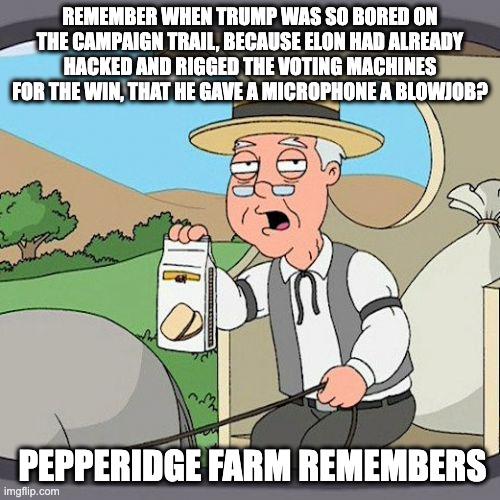 "I don't need your votes", "Elon knows those voting machines so well", "You'll never have to vote again"