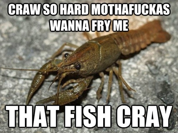 That fish cray