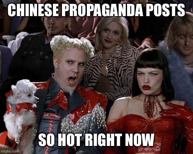 They are suddenly everywhere