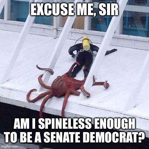 I’m looking for Chuck Schumer, sir.