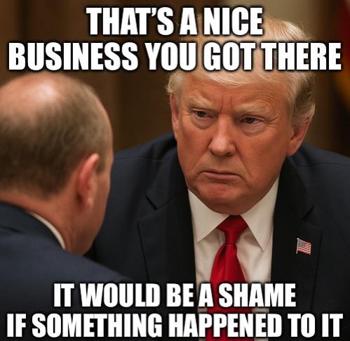 America is a big protection racket these days. And universities, companies, citizens, and even politicians are the targets.