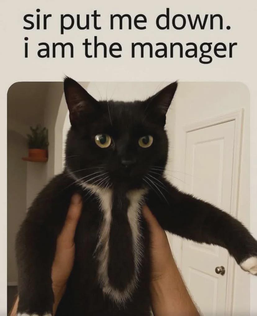 Do as the manager says!