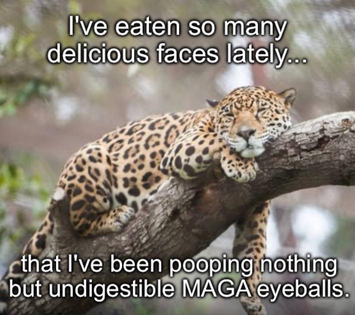 Not meaning to mix metaphors, but so many regretful (R)s, ashamed MAGA, as well as dejected conservative influencers and the like are finally starting to wake up and smell the rancid coffee...