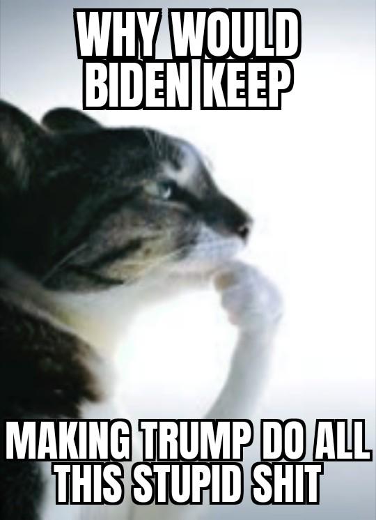 Biden seems to own Trump.