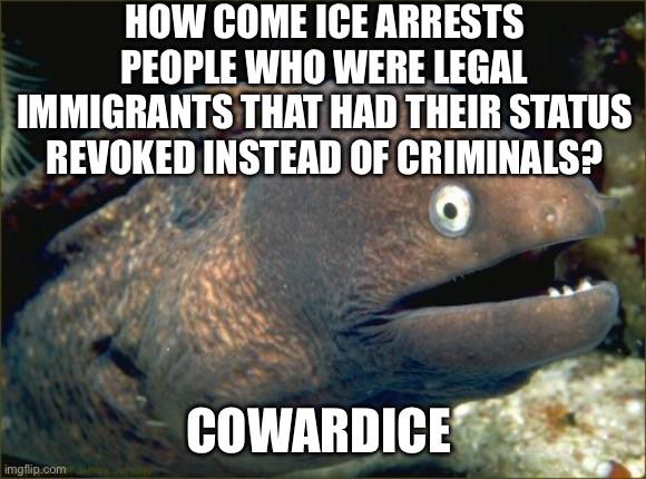 MAGA also wants it to be a problem forever