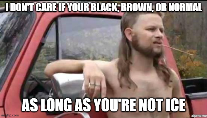 Almost Politically Correct Redneck Weighs In On Minnesota