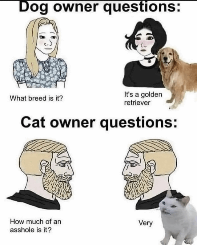 Dogs or Cats?