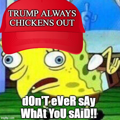 It's TACO Trump Day