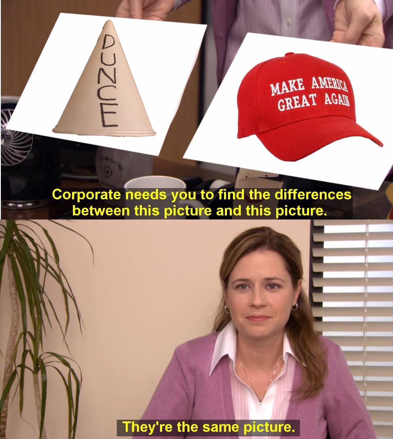 Low IQ Hat