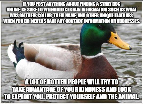 My wife and I fostered and rehomed a stray dog we found. A week after rehoming her, I was called by someone who tried to extort me for money for taking the dog in. Be kind, but be vigilant.