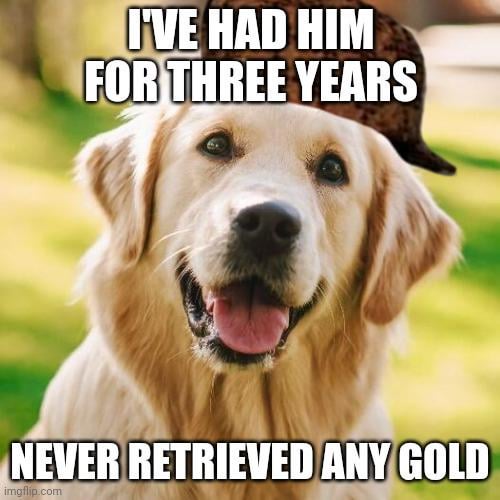 Scumbag Golden Retriever