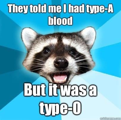 Silly Pun Raccoon