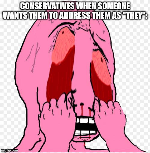 Genuinely so weird how somebody preferring a certain pronoun makes them angry