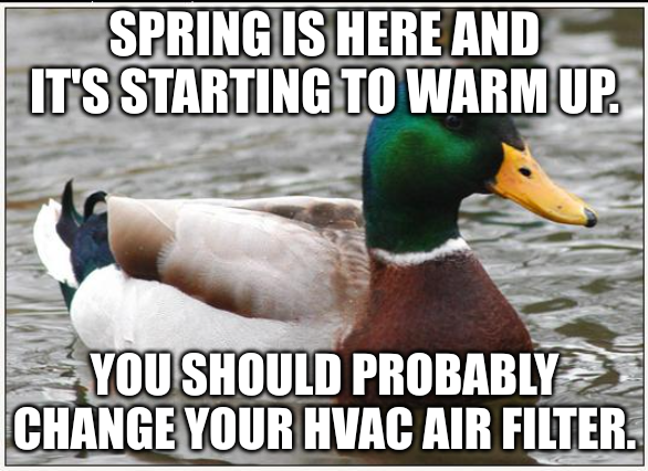 Especially with all the pollen.