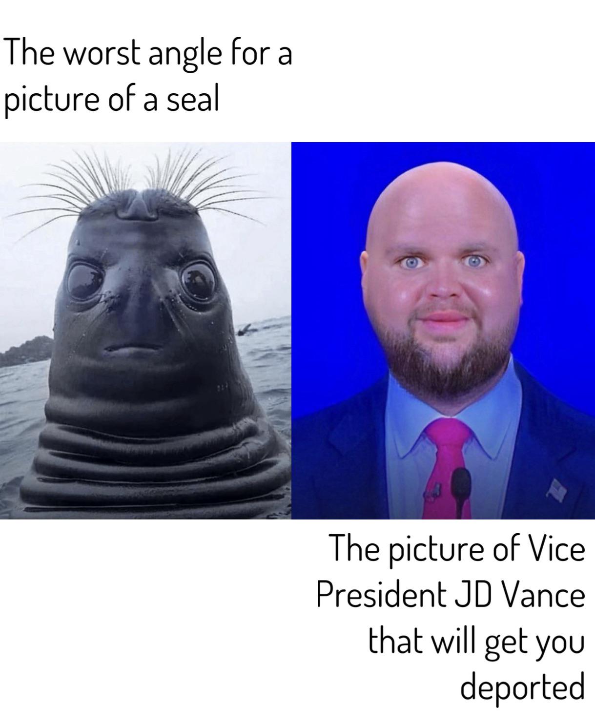 Choose Your Fate