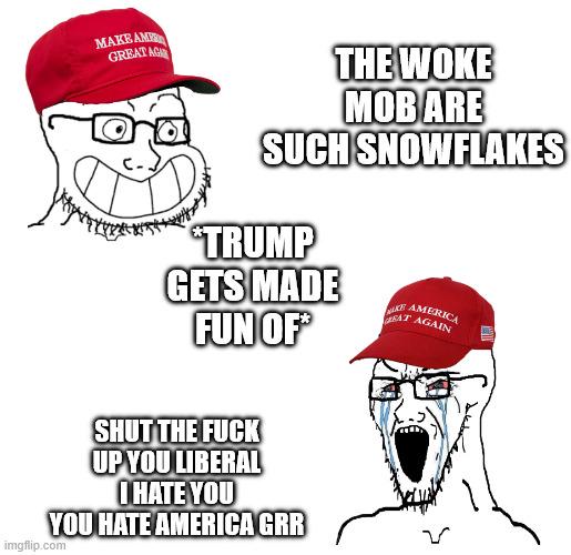 They say that the woke mob is a bunch of snowflakes but the minute Trump gets criticized they want the person deported