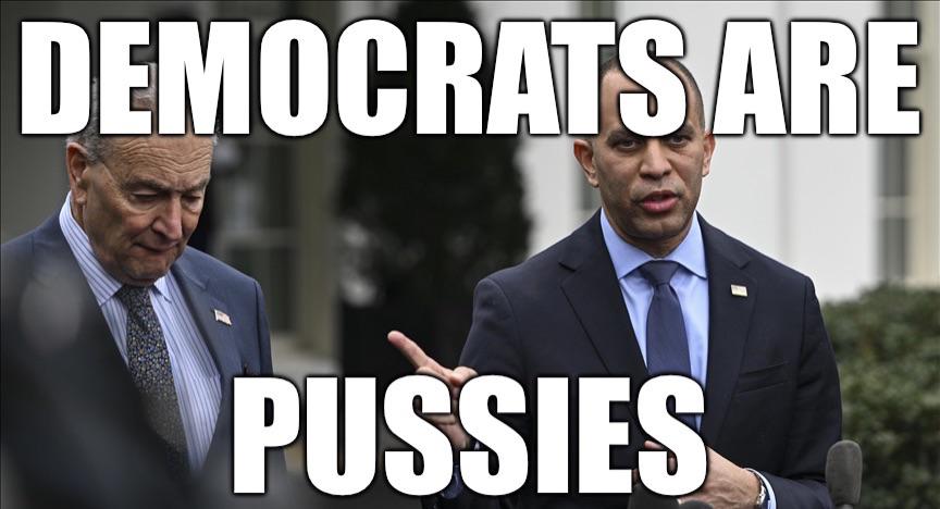 POTUS is in the Epstein files. The three branches have collapsed into one. Trump does an impeachable act every day and the Dems are still bringing squirt guns to a flamethrower fight. 2026 is in 5 months. Stop being pussies, start fighting, & come up