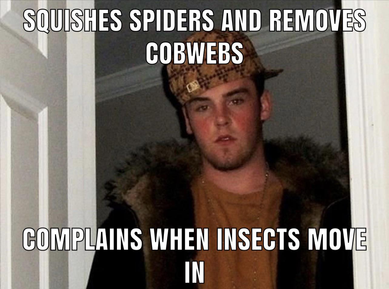 Spiders are counter terrorists