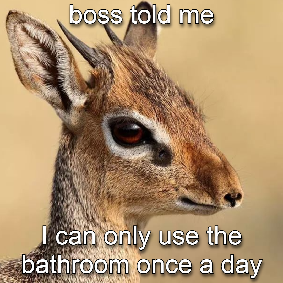 gatekeeping toilet time