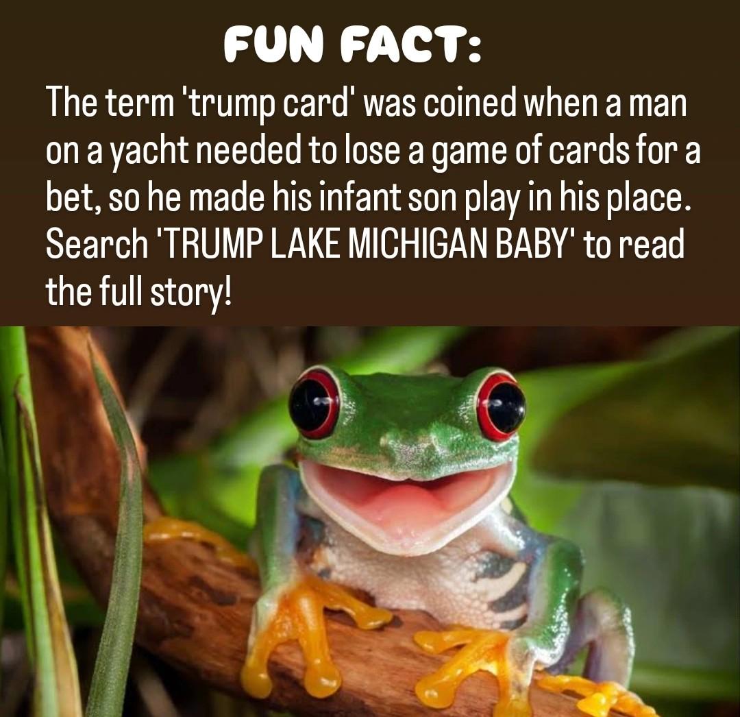 Entirely true story!