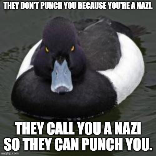When you read "punch aNazi" on reddit, remember this is what it really means.