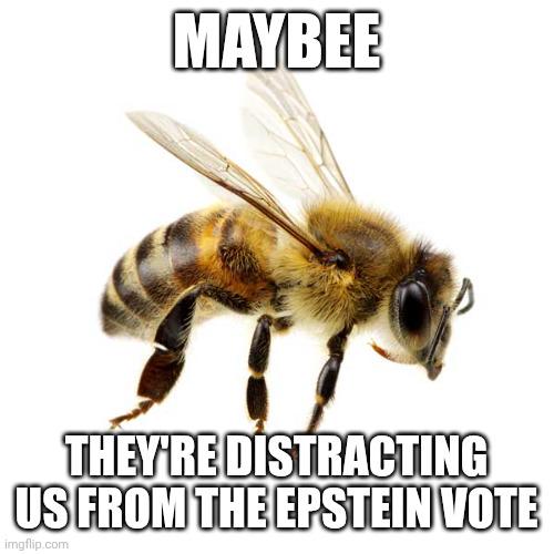 Bee Real