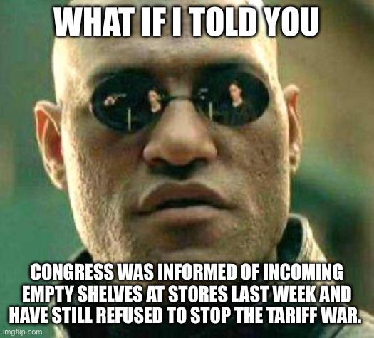 The people who manage shipping traffic visited the US Congress last week with stark warnings about incoming Trump tariff shortages