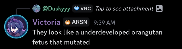 This is referring to a message that had a picture of a diddy enjoyer