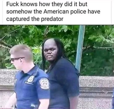 The predator is coming