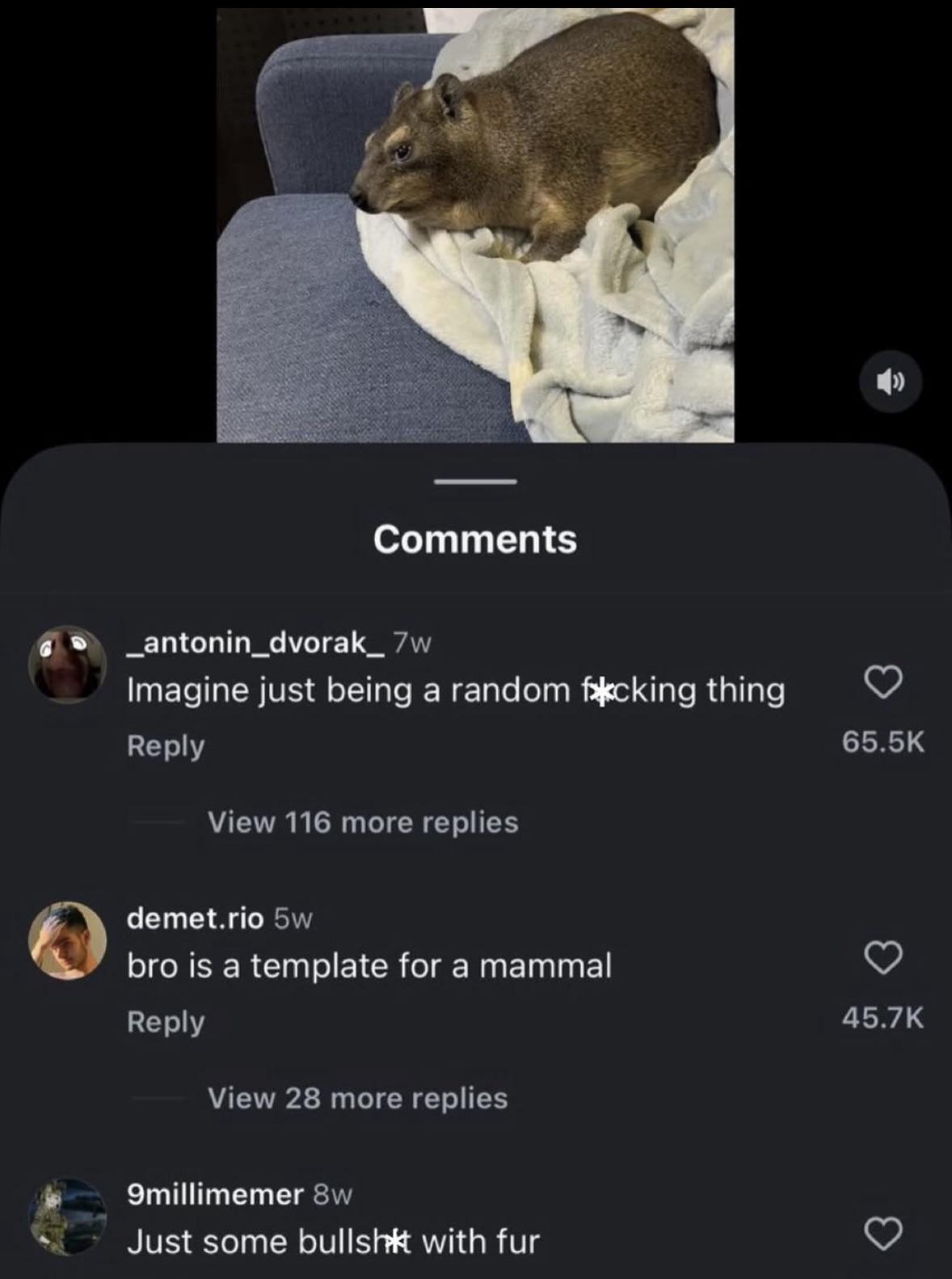 Catching strays all over