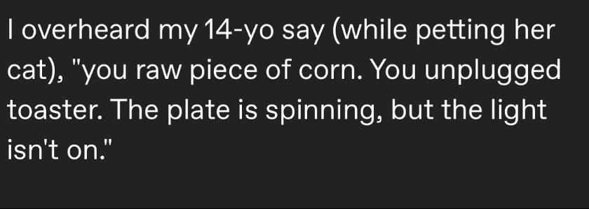 I feel bad for the cat.