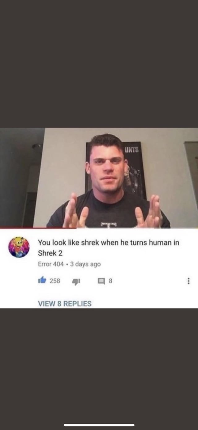 Shrek in human form