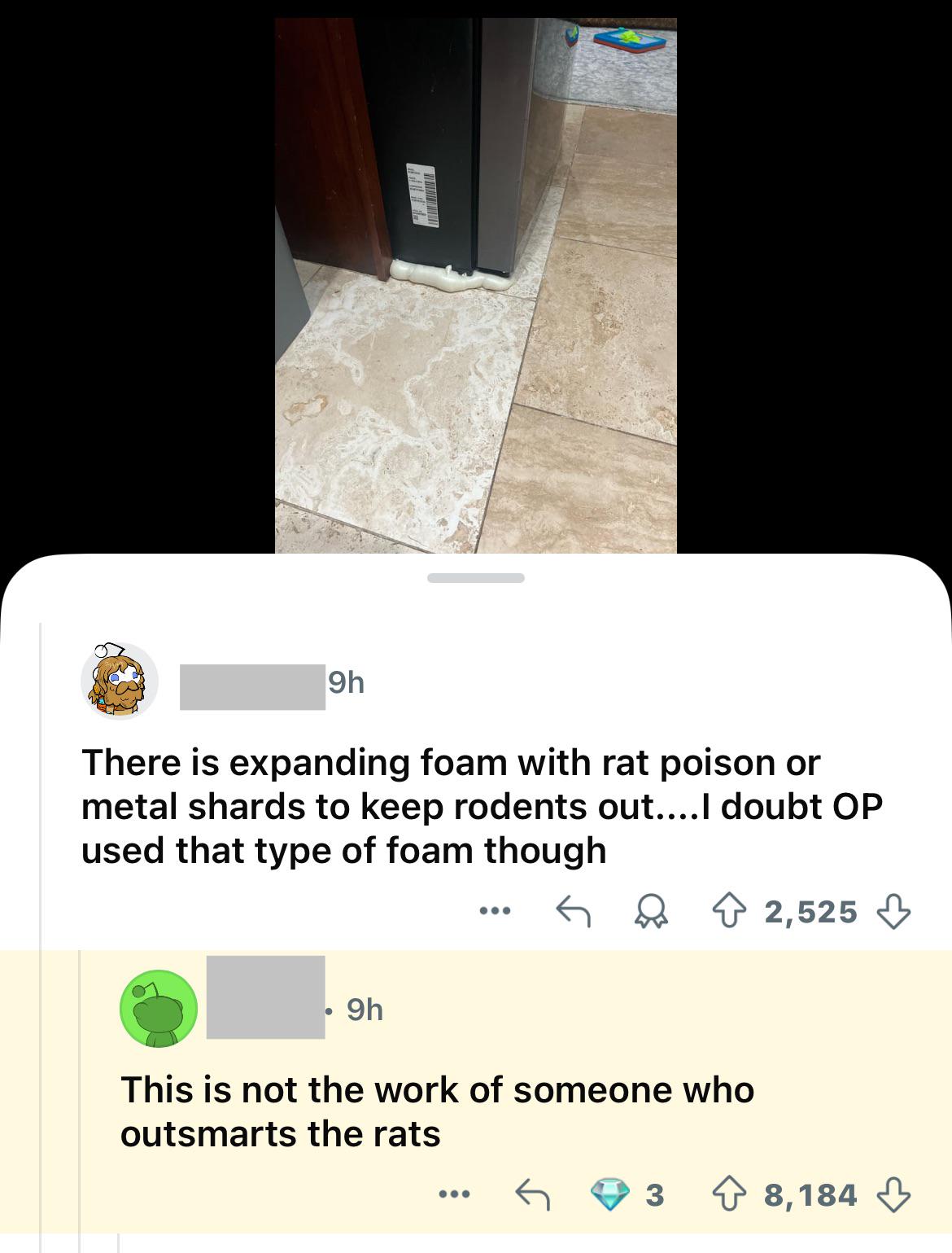 OP put spray foam around her house to combat her rodent problem