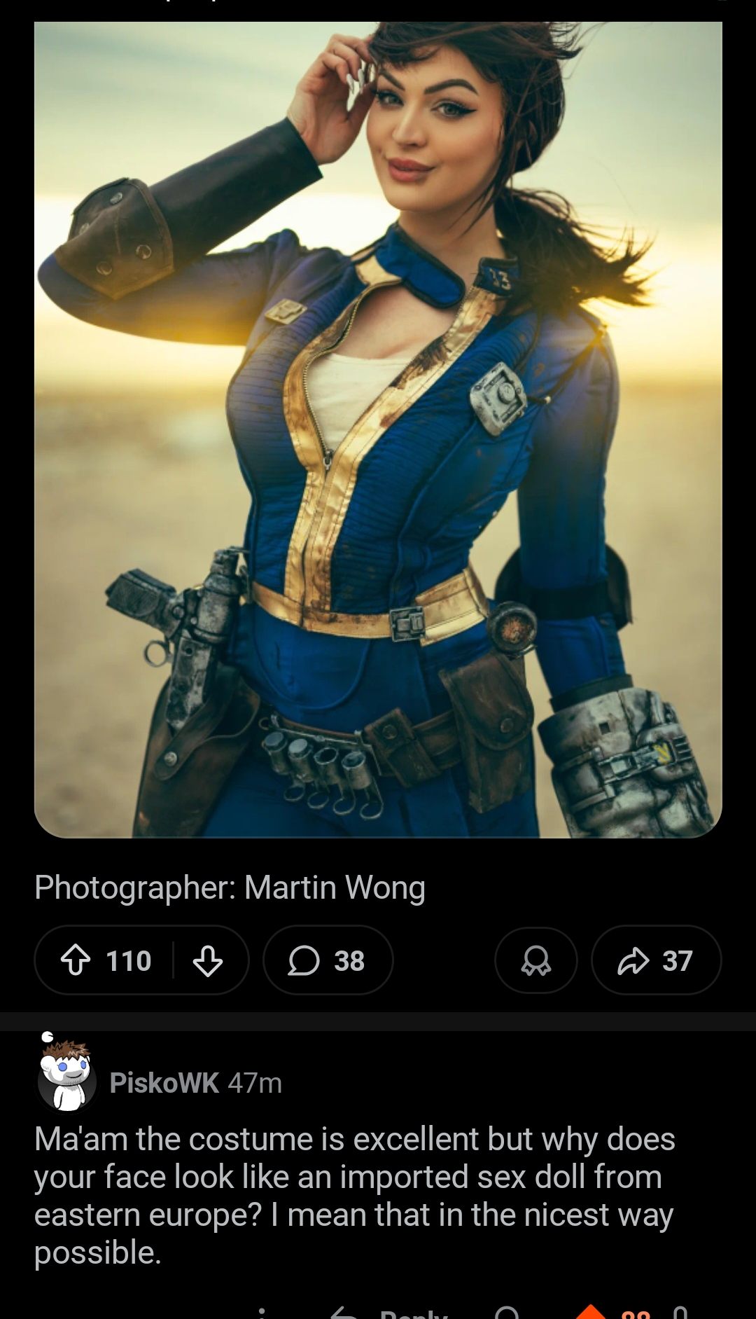 Imported fallout cosplay