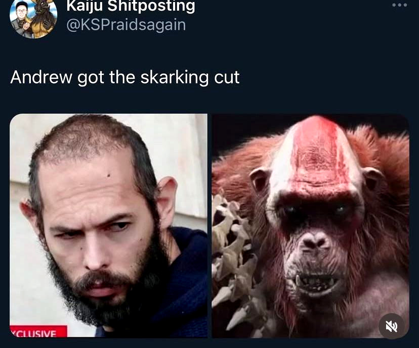 His haircut is beyond repair
