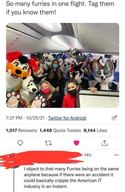 So many furries in one  flight.